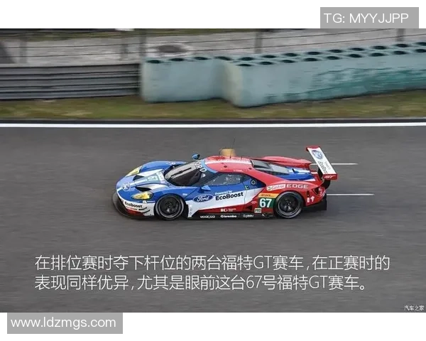 全国锦标赛分析：西安排球队在耐力方面的出色表现与战术调整